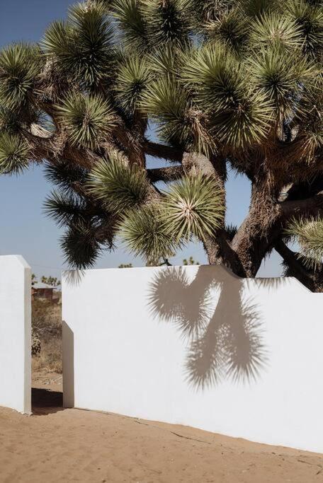 Le Chacuel Villa Joshua Tree Kültér fotó